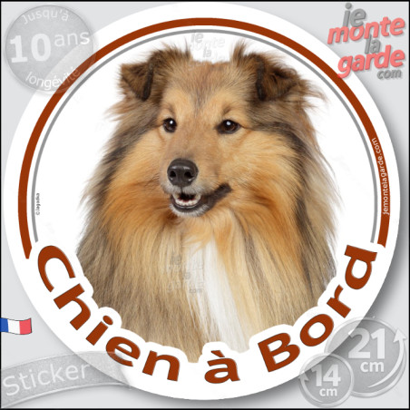 Colley fauve, sticker voiture rond  photo "Chien à Bord" résiste pluie soleil gel, idée cadeau, 2 Tailles D