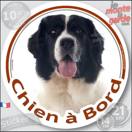 Landseer, sticker autocollant rond "Chien à Bord" Disque adhésif vitre voiture photo, résiste pluie soleil gel, idée cadeau