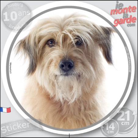 Labrit fauve Tête, sticker autocollant rond "photo" Disque adhésif Berger des Pyrénées sable beige, résiste pluie soleil gel, id