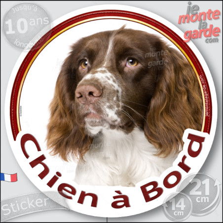 Springer Spaniel Anglais marron foie et blanc, sticker voiture rond photo "Chien à Bord" résiste pluie soleil gel, idée cadeau