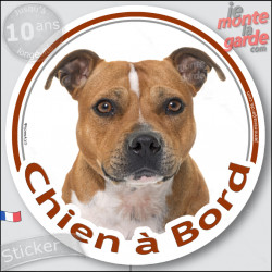 Staffie fauve marron Tête, sticker rond "Chien à Bord" Disque autocollant voiture staffy adhésif photo, résiste pluie soleil gel