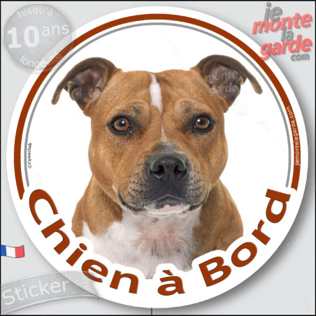 Staffie fauve marron Tête, sticker rond "Chien à Bord" Disque autocollant voiture staffy adhésif photo, résiste pluie soleil gel