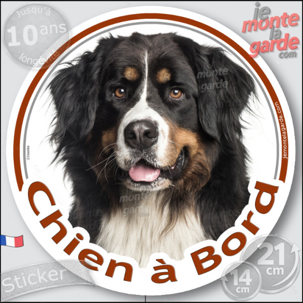 Bouvier Bernois, sticker autocollant rond voiture "Chien à Bord" Disque adhésif photo race, résiste pluie soleil gel, idée cadea