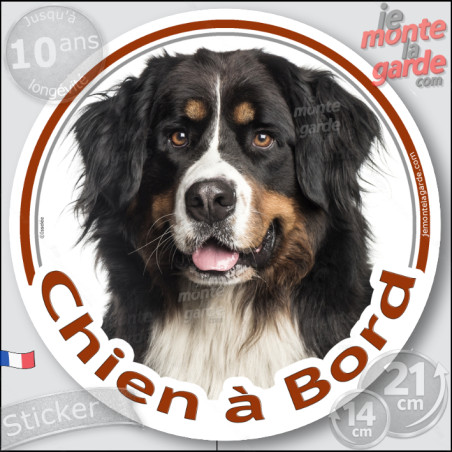 Bouvier Bernois, sticker voiture rond photo "Chien à Bord" résiste pluie soleil gel, idée cadeau, 2 Tailles D