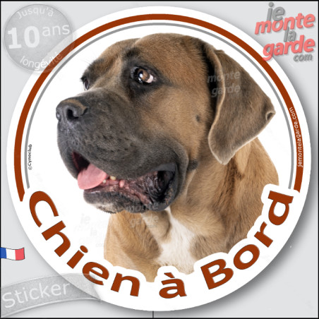 Cane Corso fauve, sticker voiture rond photo "Chien à Bord" résiste pluie soleil gel, idée cadeau, 2 Tailles D