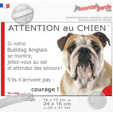 Bulldog Anglais blanc et fauve, plaque portail humour "Attention au Chien, Jetez Vous au Sol, attendez secours, courage" photo, 