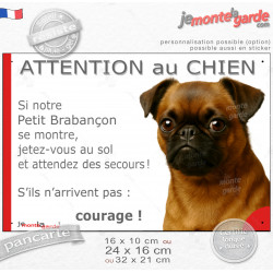 Petit Brabançon fauve rouge, plaque humour "Attention au Chien, Jetez Vous au Sol, attendez secours, courage" photo, résiste plu