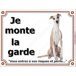 Lévrier Whippet fauve Assis, plaque portail "Je Monte la Garde risques périls" pancarte panneau photo