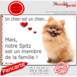 Spitz Roux Assis, Plaque Portail "un chien est un chien, membre de la famille" Loulou Poméranie fauve orange, résiste pluie sole