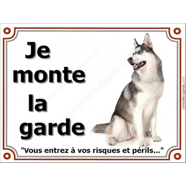 Husky gris Assis, plaque "Je Monte la Garde, risques périls" panneau photo affiche pancarte, sibérien entier