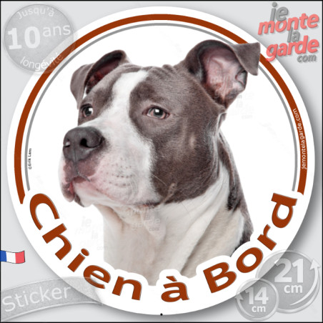 Amstaff Bleu, sticker voiture rond photo "Chien à Bord" résiste pluie soleil gel, idée cadeau, 2 Tailles D