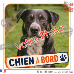 Photo personnalisable, photo autocollant carré XL "Chien à Bord" Sticker adhésif sur mesure vitre 22 cm SUV, Camping-Car, résist