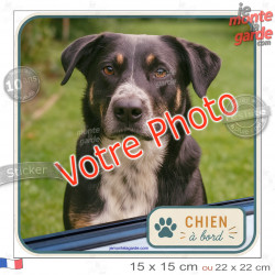 Photo personnalisable, photo autocollant carré "Chien à Bord" Sticker adhésif sur mesure vitre voiture 15 cm, résiste à l'extéri
