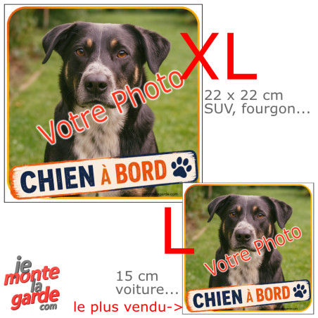 Photo personnalisable, autocollant carré "Chien à Bord" Sticker adhésif sur mesure vitre voiture, comparaison des tailles dispon