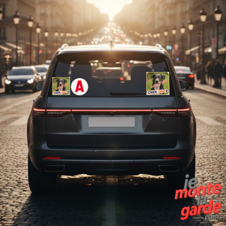 Photo personnalisable, carré autocollant "Chien à Bord" Sticker adhésif sur mesure vitre, photo de l'installation du sticker sur
