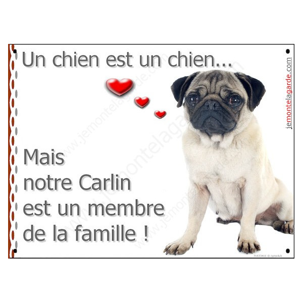 Carlin Assis, Plaque Portail un chien est un chien, membre de la famille, pancarte, affiche panneau