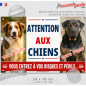 Photo personnalisable, plaque pluriel portail "Attention aux Chiens, vous entrez à vos risques et périls" look plaque de rue bie