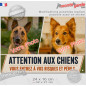 Photo personnalisable, plaque pluriel portail "Attention aux Chiens, vous entrez à vos risques et périls" look plaque de rue bie