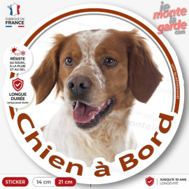 Sticker chien à bord Epagneul Breton blanc et orange, photo autocollant voiture vitre, résiste pluie soleil gel