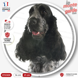 Sticker Cocker Anglais bleu rouan, photo chien oreilles longues, autocollant voiture vitre arrière, résiste pluie soleil gel