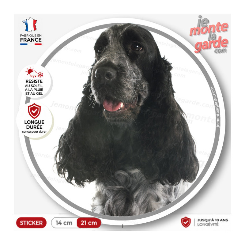 Sticker Cocker Anglais bleu rouan, photo chien oreilles longues, autocollant voiture vitre arrière, résiste pluie soleil gel