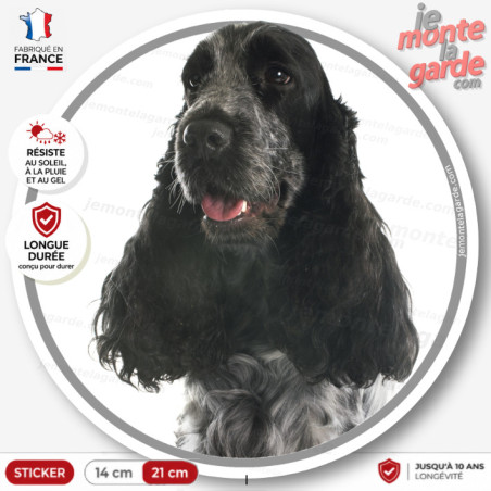 Cocker Anglais bleu, sticker autocollant rond "photo" résiste dehors, 2 tailles D