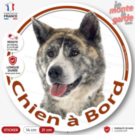Sticker chien à bord Akita Inu bringé, photo autocollant voiture vitre arrière, race japonaise, résiste pluie soleil gel