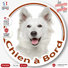 Sticker rond “Chien à Bord” Berger Blanc Suisse, portrait particulièrement joyeux et avenant, pour voiture