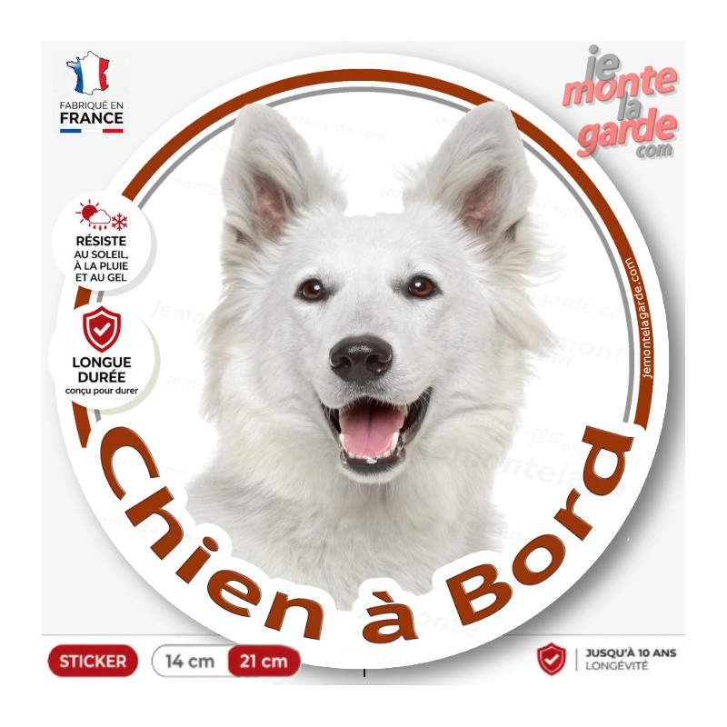 Sticker rond “Chien à Bord” Berger Blanc Suisse, portrait particulièrement joyeux et avenant, pour voiture