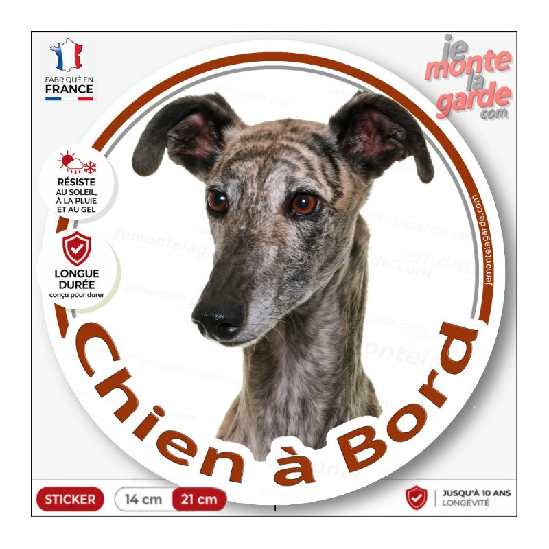 Sticker chien à bord Lévrier Whippet bringé, photo autocollant rond voiture, résiste pluie soleil gel