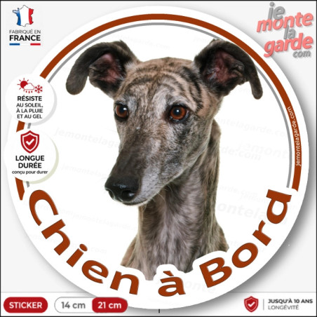 Sticker chien à bord Lévrier Whippet bringé, photo autocollant rond voiture, résiste pluie soleil gel