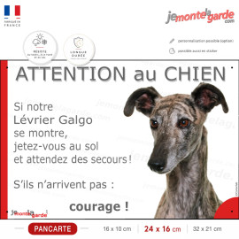 Attention au chien Lévrier Galgo, photo pancarte jetez-vous au sol courage, résiste pluie soleil gel