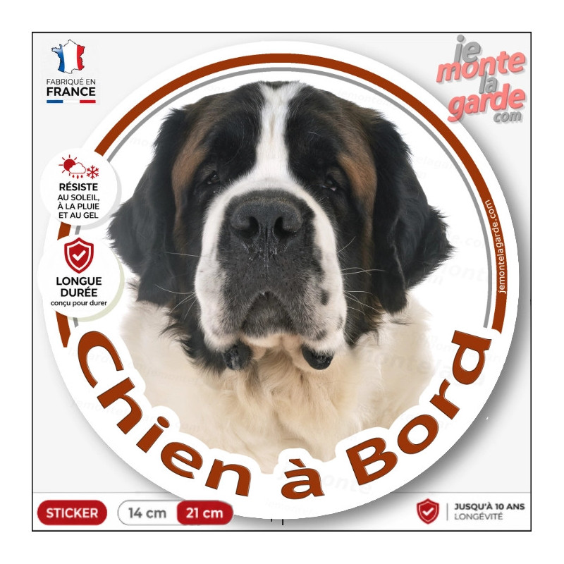 Sticker chien à bord Saint-Bernard blanc et rouge, photo autocollant voiture, résiste pluie soleil gel