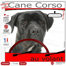 Autocollant marrant. à coller sur la voiture pour prévenir de la présence de votre Cane Corso Italiano tout noir.