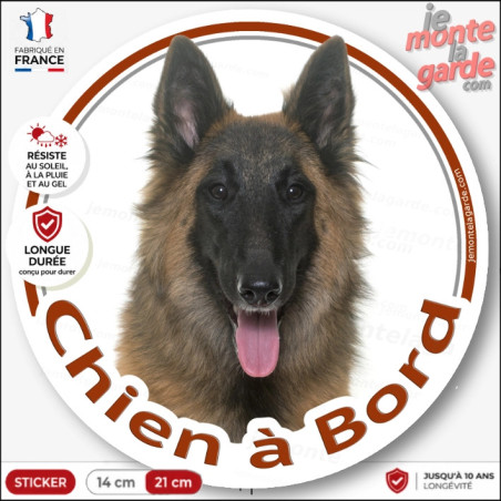 Sticker chien à bord Berger Belge Tervueren fauve charbonné, photo autocollant, résiste pluie soleil gel