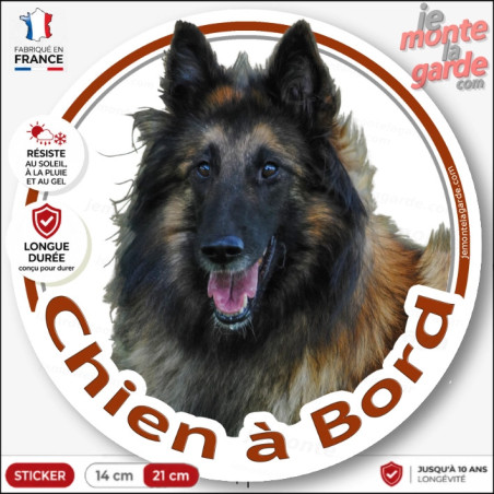 Sticker chien à bord Berger Belge Tervueren fauve charbonné, photo autocollant, résiste pluie soleil gel