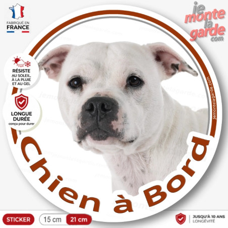 Sticker chien à bord Staffordshire Bull Terrier blanc, photo autocollant voiture Staffie, résiste pluie soleil gel