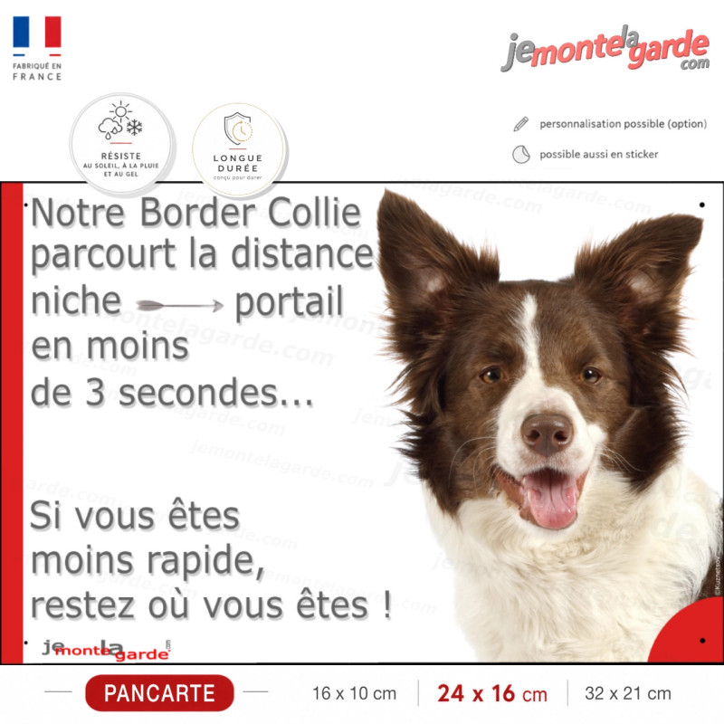 Notre Border Collie parcourt niche portail en moins de 3 secondes, restez où vous êtes, photo pancarte résiste pluie soleil gel