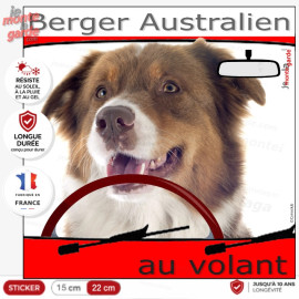 Sticker Berger Australien rouge au volant, photo chien conducteur voiture pare-brise, autocollant humoristique, résiste dehors