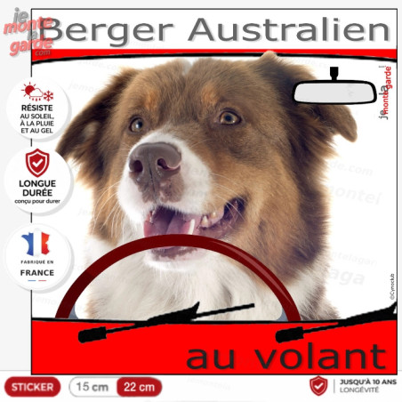 Sticker Berger Australien rouge au volant, photo chien conducteur voiture pare-brise, autocollant humoristique, résiste dehors