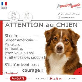 Attention au chien Berger Américain Miniature tricolore rouge, jetez-vous au sol courage, photo pancarte portail, résiste dehors