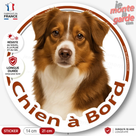 Sticker chien à bord Berger Américain Miniature rouge, photo autocollant rond voiture vitre arrière, résiste pluie soleil gel