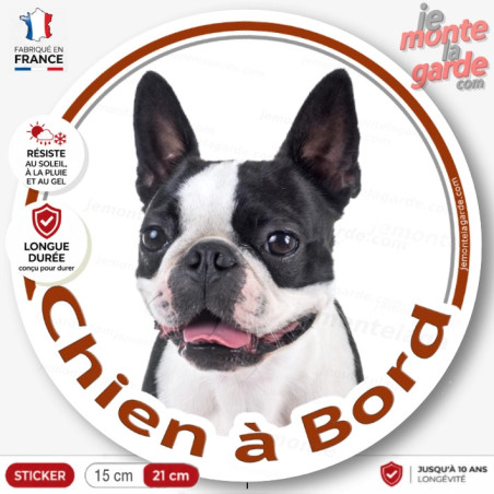 Sticker chien à bord Boston Terrier noir avec marques blanches, photo autocollant voiture vitre, résiste pluie soleil gel