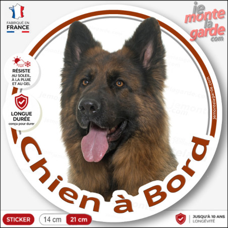 Sticker chien à bord Berger Belge Tervueren fauve charbonné, photo autocollant voiture, résiste pluie soleil gel