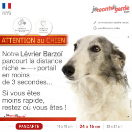 Lévrier Barzoï gris bleu, plaque humour "parcourt la distance Niche-Portail moins de 3 secondes, rapide" photo, résiste dehors