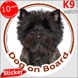 Cairn Terrier Dog on Board sticker with dark rough-coated Cairn Terrier photo for car windows and vehicles.