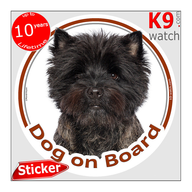 Cairn Terrier Dog on Board sticker with dark rough-coated Cairn Terrier photo for car windows and vehicles.