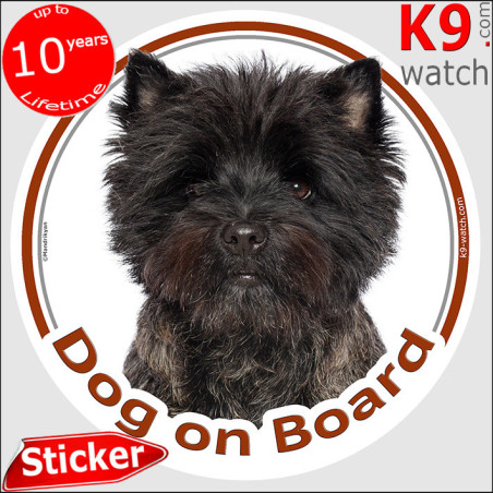 Cairn Terrier Dog on Board Sticker 14 cm