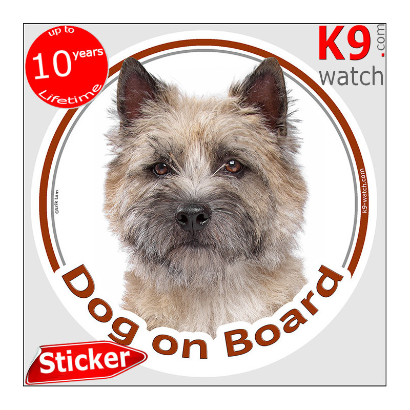 Cairn Terrier Dog on Board sticker with grey-wheaten rough-coated dog photo for car windows and vehicles.