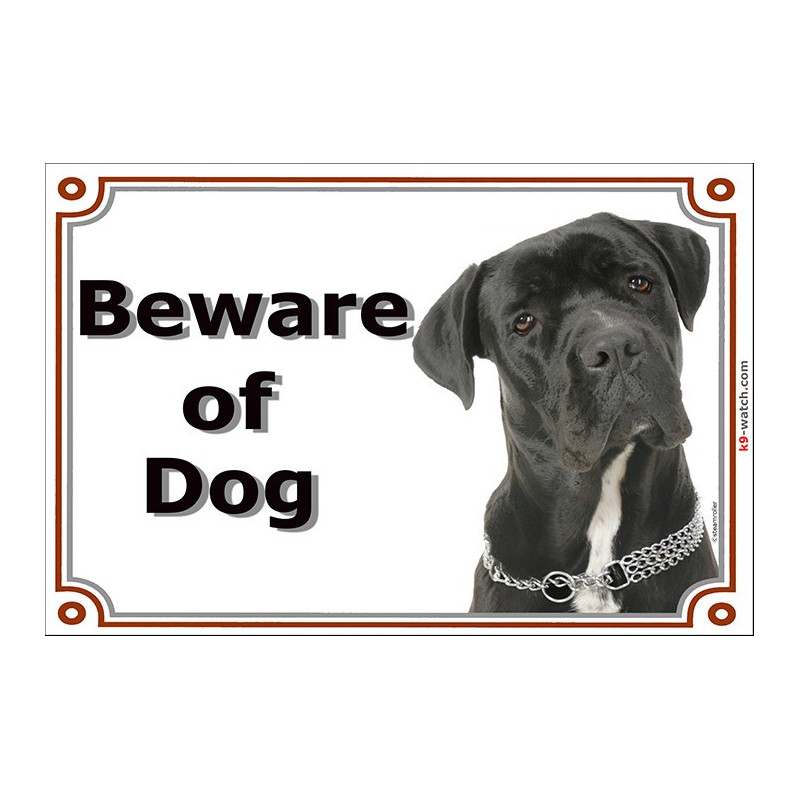 Cane Corso Beware of the Dog sign with black short-coated dog photo, available in 16x12 cm and 24x16 cm.